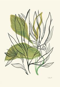 Illusztráció Foliage N.1, Catalina Somolinos, (26.7 x 40 cm)