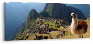 Kép - Láma és Machu Picchu (120x50 cm)