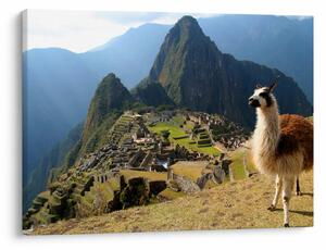 Kép - Láma és Machu Picchu (70x50 cm)