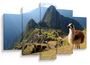 Kép - Láma és Machu Picchu (150x105 cm)