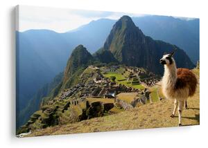 Kép - Láma és Machu Picchu (90x60 cm)