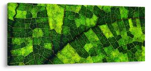 Kép - A lap részlete (120x50 cm)