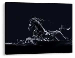 Kép - Ló és a víz (70x50 cm)