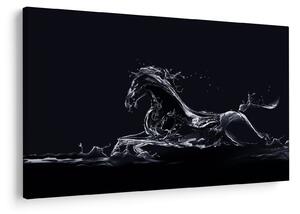 Kép - Ló és a víz (90x60 cm)