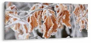 Kép - Fagyott levelek (120x50 cm)