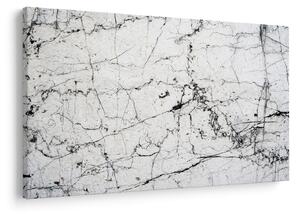 Kép - Fal (90x60 cm)