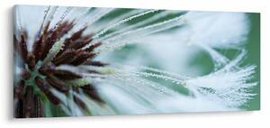 Kép - Egy virág részlete (120x50 cm)