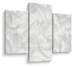 Kép - Szirmok (90x60 cm)