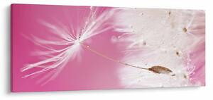 Kép - Makró virága (120x50 cm)