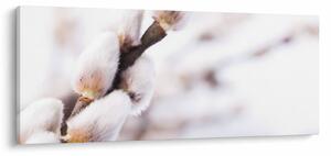Kép - Macska (120x50 cm)
