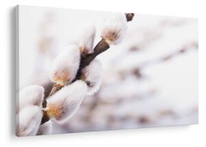 Kép - Macska (90x60 cm)