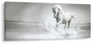 Kép - Fehér ló (120x50 cm)