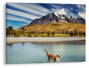 Kép - Torres del Paine Nemzeti Park (70x50 cm)