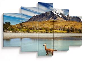 Kép - Torres del Paine Nemzeti Park (150x105 cm)