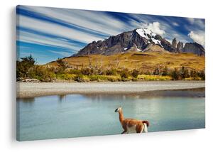 Kép - Torres del Paine Nemzeti Park (90x60 cm)