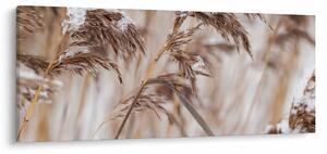 Kép - Lipnica (120x50 cm)