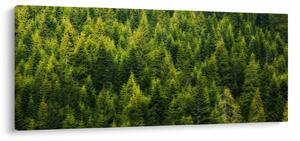 Kép - sűrű erdő (120x50 cm)
