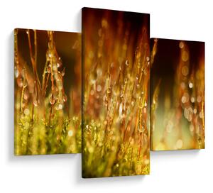 Kép - Harmat részlete (90x60 cm)