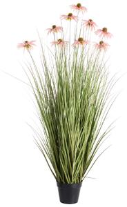 Műnövény RUDBEKDARIUM 120 cm Rózsaszín
