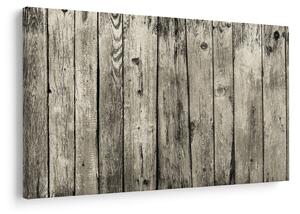 Kép - Fa (90x60 cm)