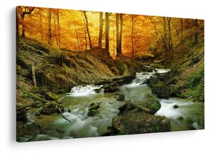 Kép - Erdő (90x60 cm)