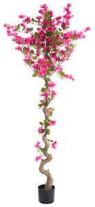 Műnövény BOUGAINILLEA TREE 180 cm Rózsaszín