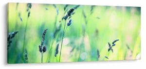 Kép - Rét részlete (120x50 cm)