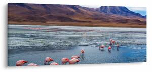 Kép - Flamingók (120x50 cm)