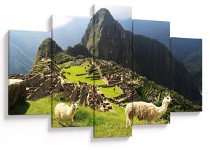 Kép - Lámák Machu Picchuban (150x105 cm)