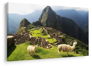 Kép - Lámák Machu Picchuban (90x60 cm)
