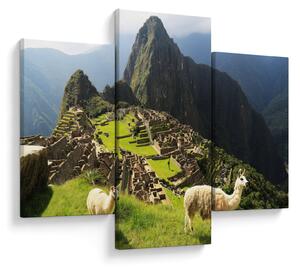 Kép - Lámák Machu Picchuban (90x60 cm)