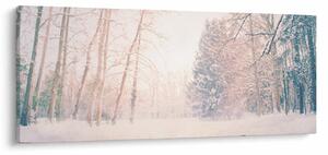 Kép - Kilátás az erdőbe (120x50 cm)