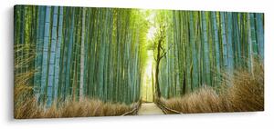 Kép - Sikátor bambuszal (120x50 cm)