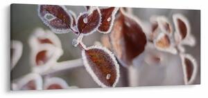 Kép - Levelek részlete (120x50 cm)