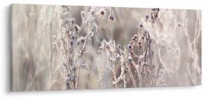 Kép - Növény (120x50 cm)