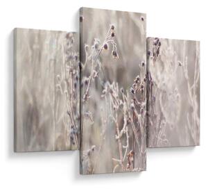 Kép - Növény (90x60 cm)