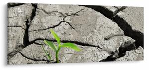 Kép - Repedések (120x50 cm)