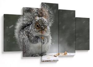 Kép - Mókus télen (150x105 cm)