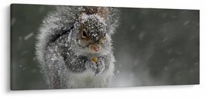 Kép - Mókus télen (120x50 cm)