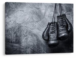 Kép - Boksz kesztyű (70x50 cm)