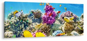 Kép - A tenger világa (120x50 cm)