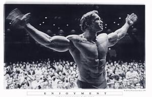 Plakát Arnold Schwarzenegger - Enjoyment, (91.5 x 61 cm)