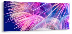 Kép - Makró (120x50 cm)