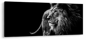 Kép - Oroszlán (120x50 cm)