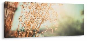 Kép - Réti növények (120x50 cm)