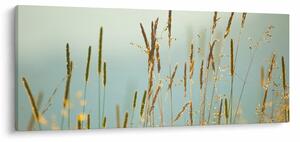 Kép - Réti pillanat (120x50 cm)
