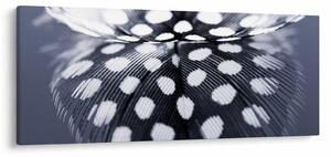 Kép - Toll (120x50 cm)
