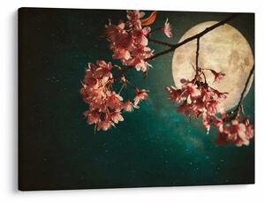 Kép - Sakura teliholdkor (70x50 cm)