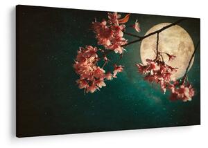 Kép - Sakura teliholdkor (90x60 cm)