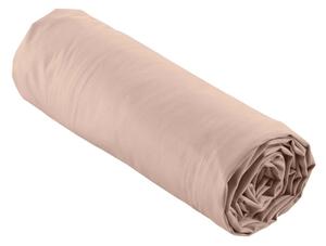 Rózsaszín gumis pamut-perkál lepedő 160x200 cm Percaline – douceur d'intérieur